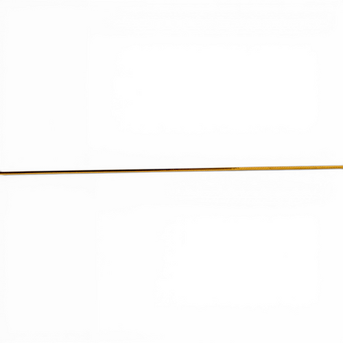 Gold Flat Snake Chain