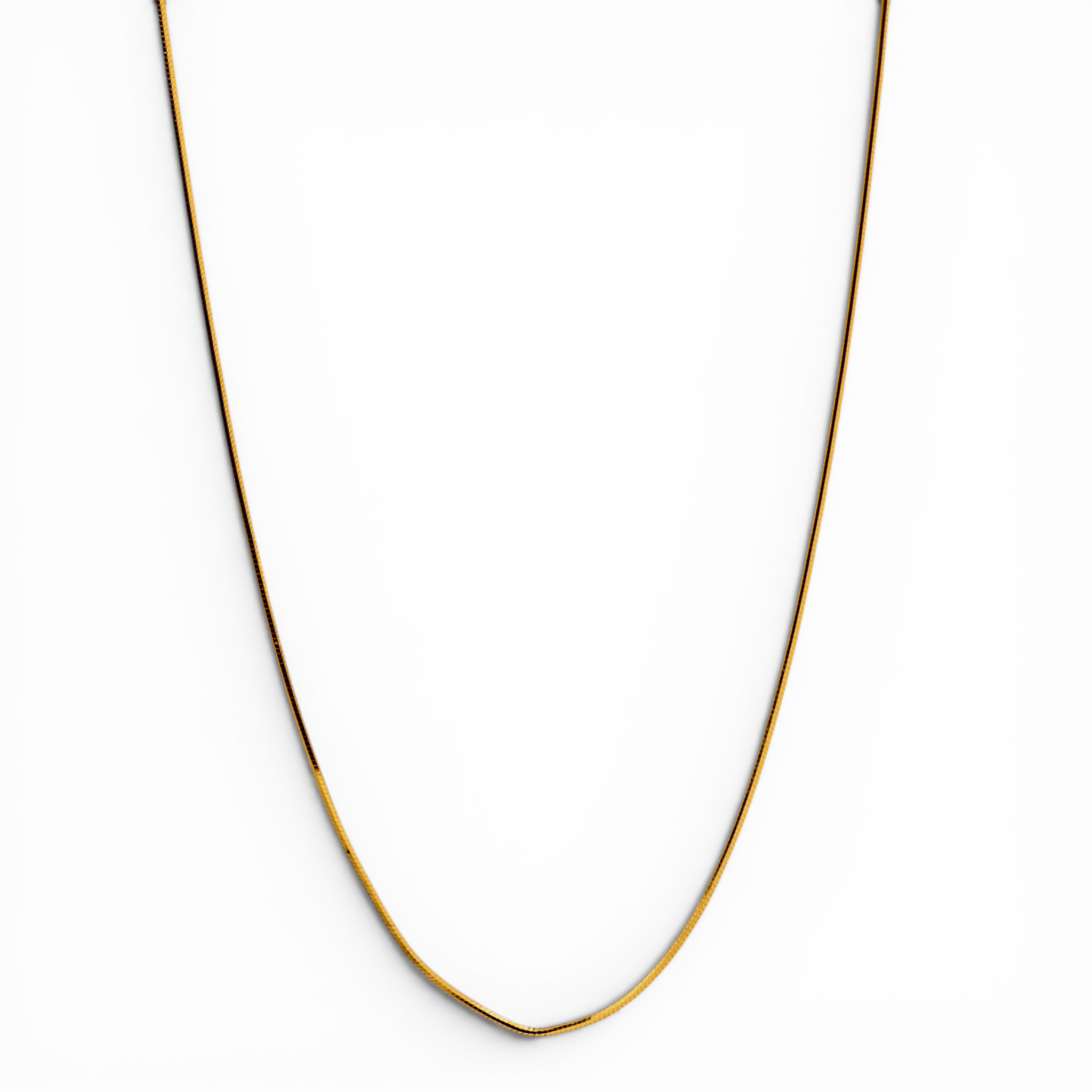 Gold Flat Snake Chain - PLATA